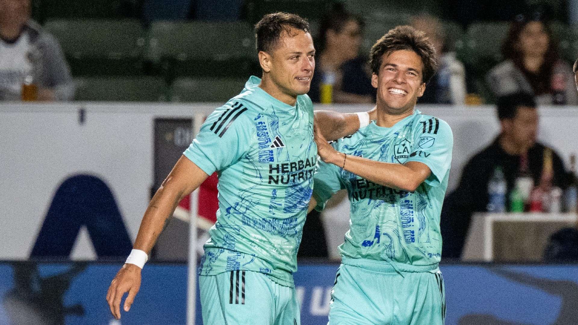 体竞争力 体竞争力