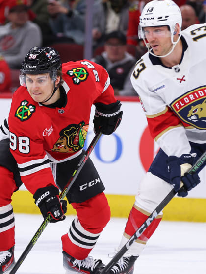 仅用三个月 仅用三个月