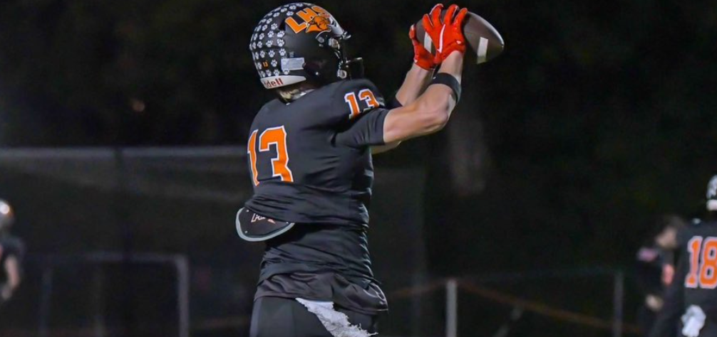 可以参考 可以参考