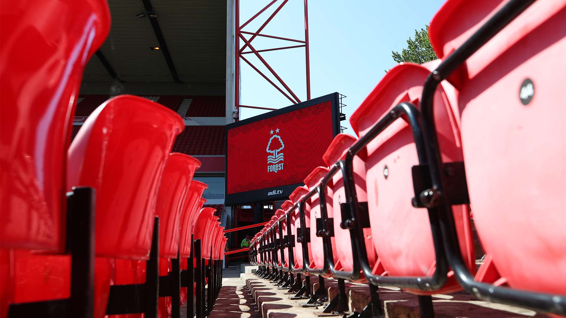 强烈的情感 强烈的情感