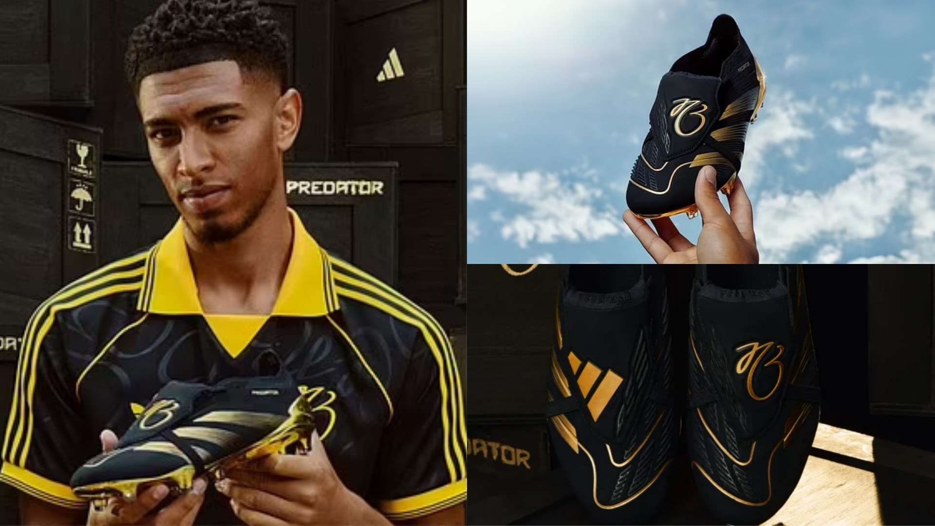 以应对对方 以应对对方