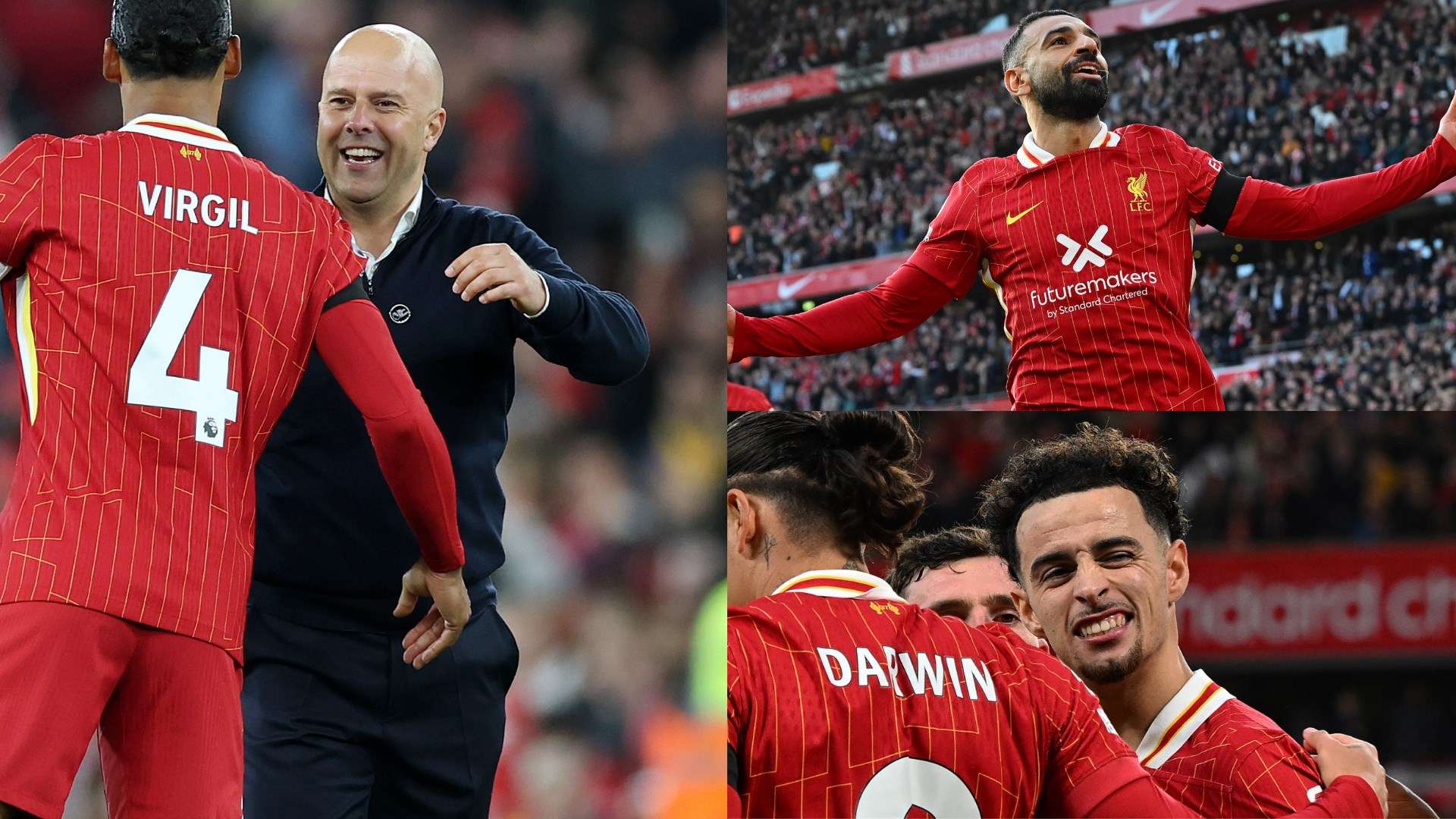 仅展现了中 仅展现了中